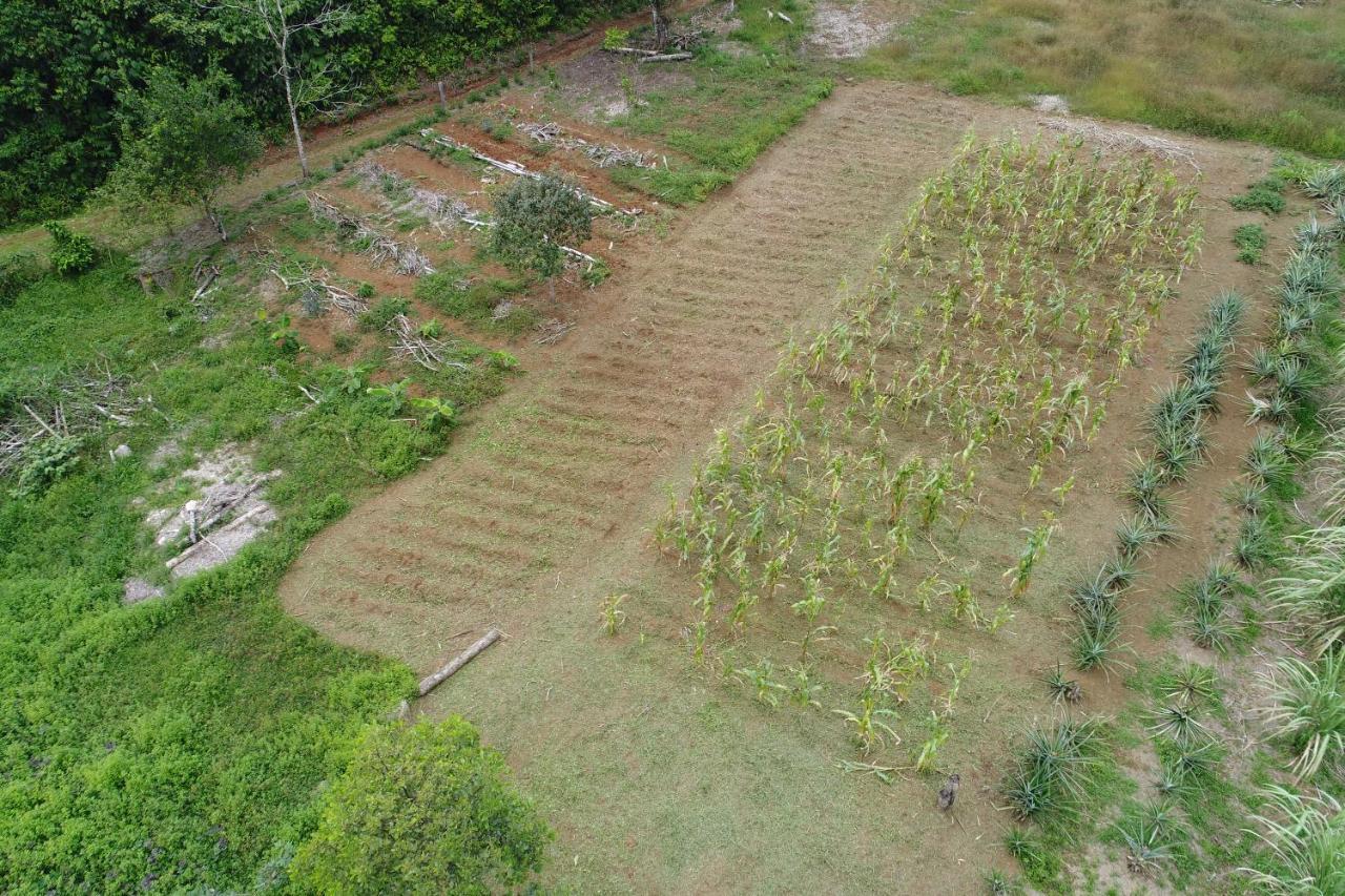 Hope Garden, Sarapiqui, We Connect You With The Sarapiqui Tropical Forest Exterior foto