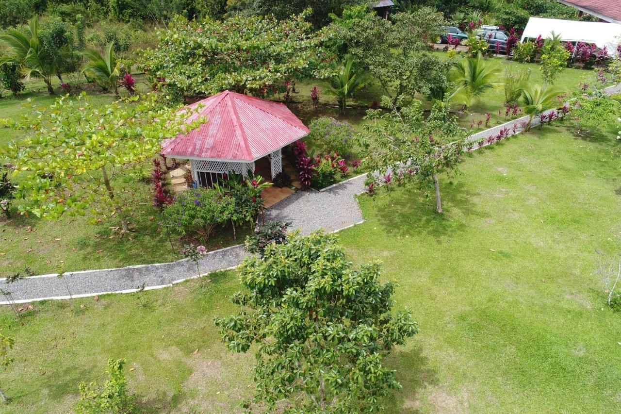Hope Garden, Sarapiqui, We Connect You With The Sarapiqui Tropical Forest Exterior foto