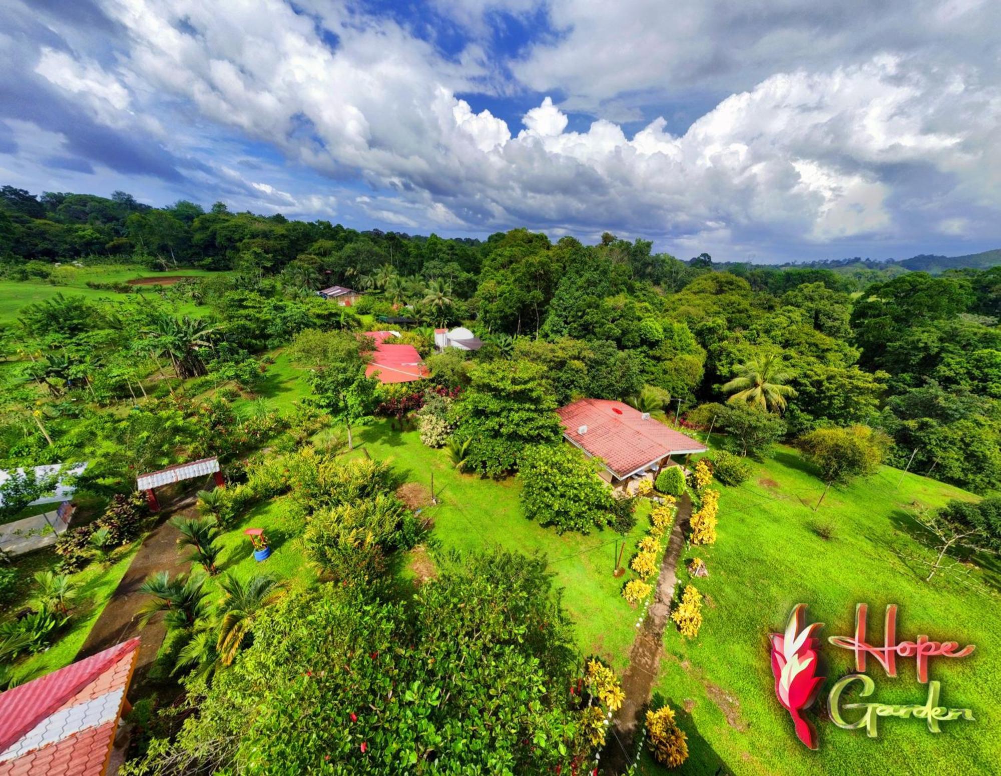 Hope Garden, Sarapiqui, We Connect You With The Sarapiqui Tropical Forest Exterior foto