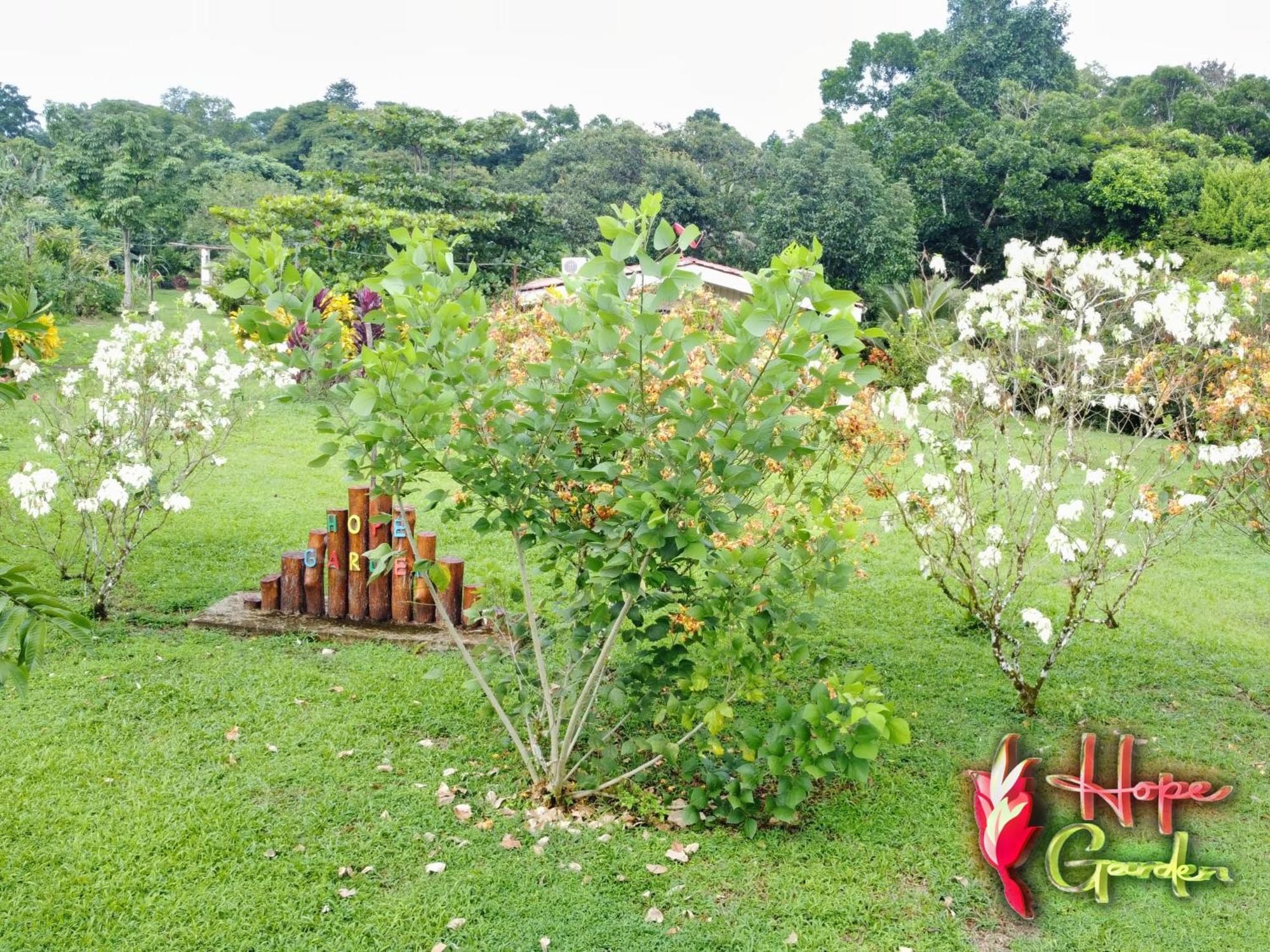 Hope Garden, Sarapiqui, We Connect You With The Sarapiqui Tropical Forest Exterior foto