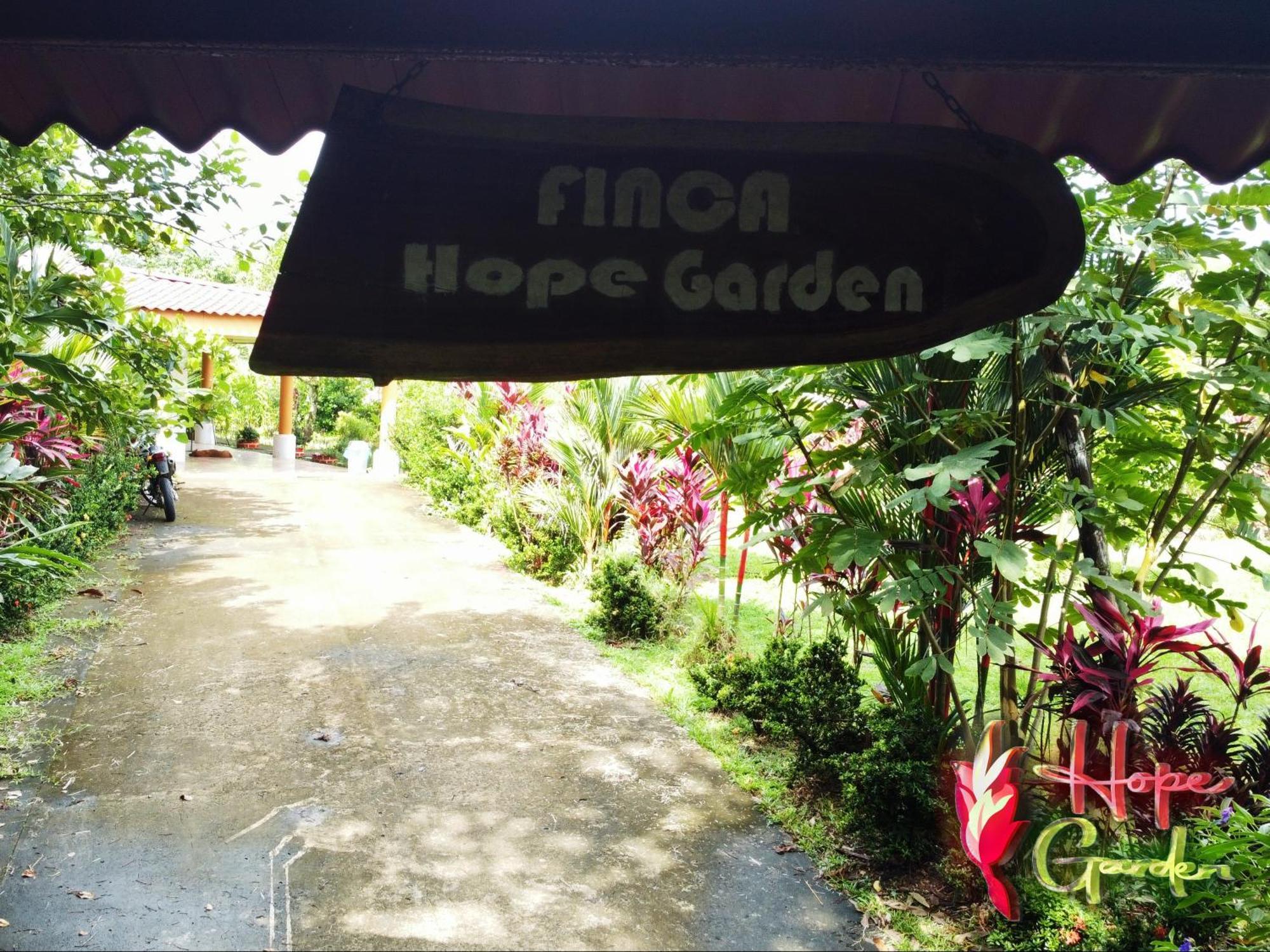 Hope Garden, Sarapiqui, We Connect You With The Sarapiqui Tropical Forest Exterior foto
