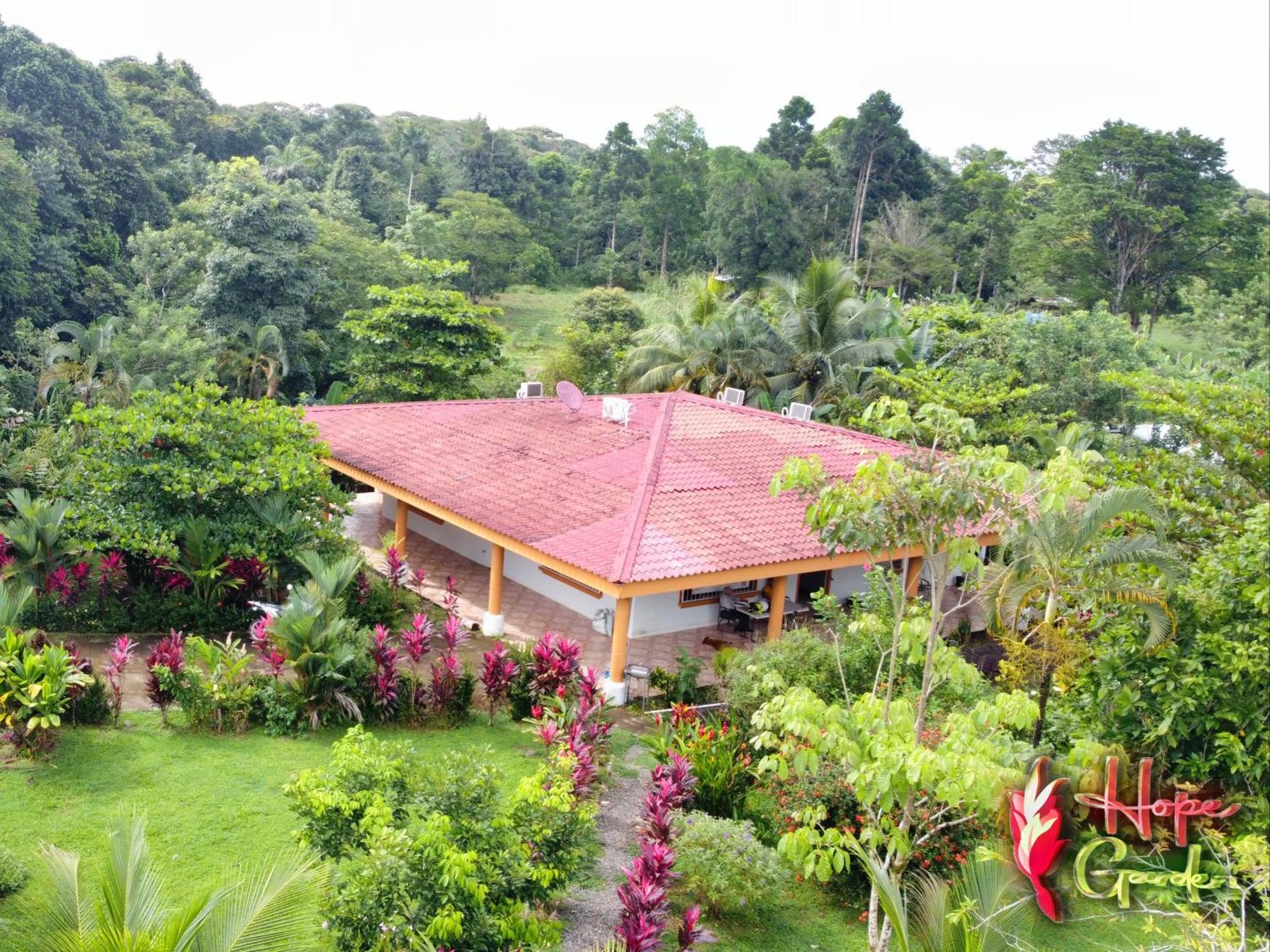 Hope Garden, Sarapiqui, We Connect You With The Sarapiqui Tropical Forest Exterior foto