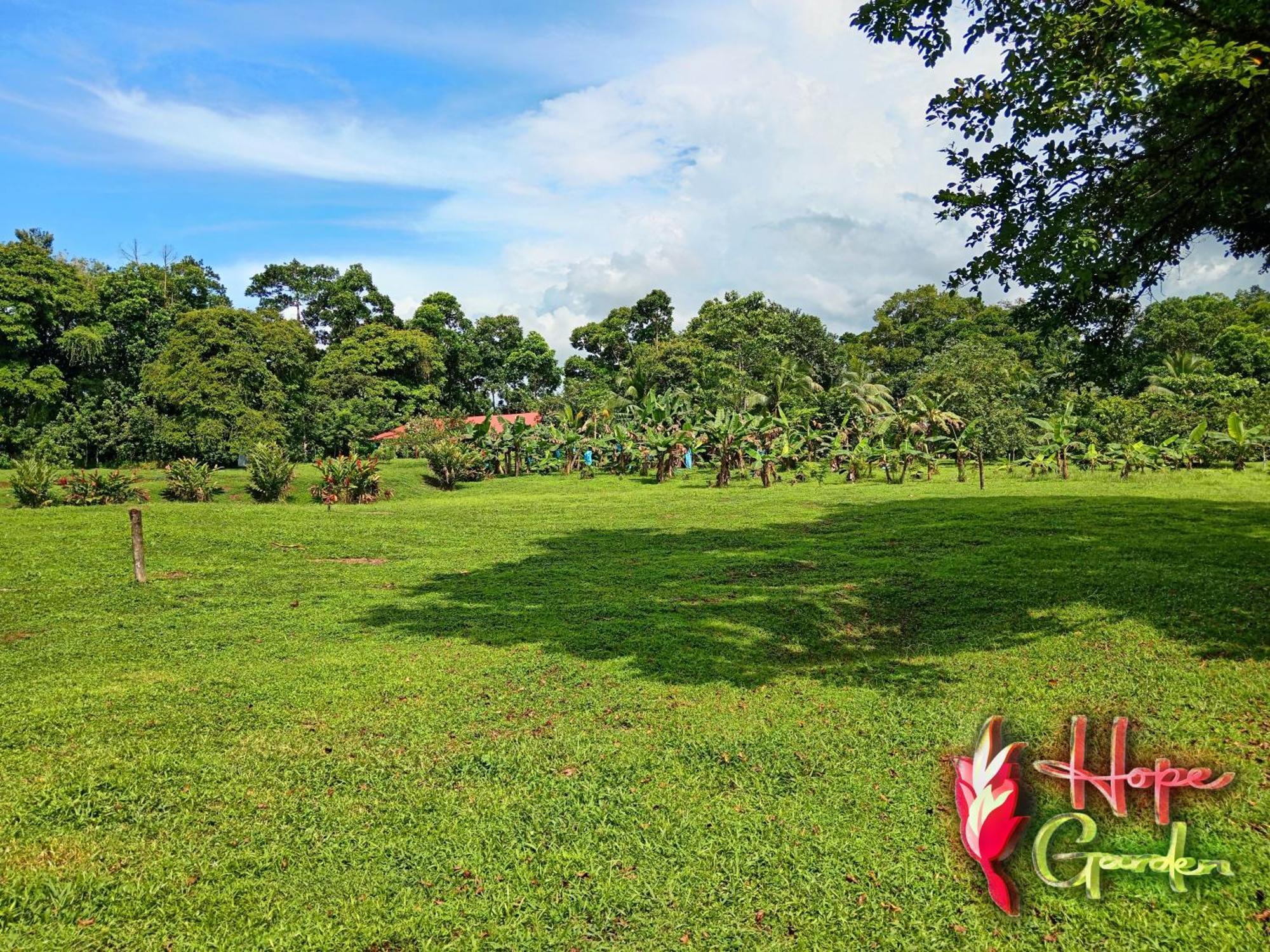 Hope Garden, Sarapiqui, We Connect You With The Sarapiqui Tropical Forest Exterior foto
